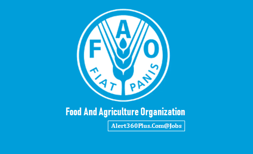 UNFAO Jobs in Ethiopia